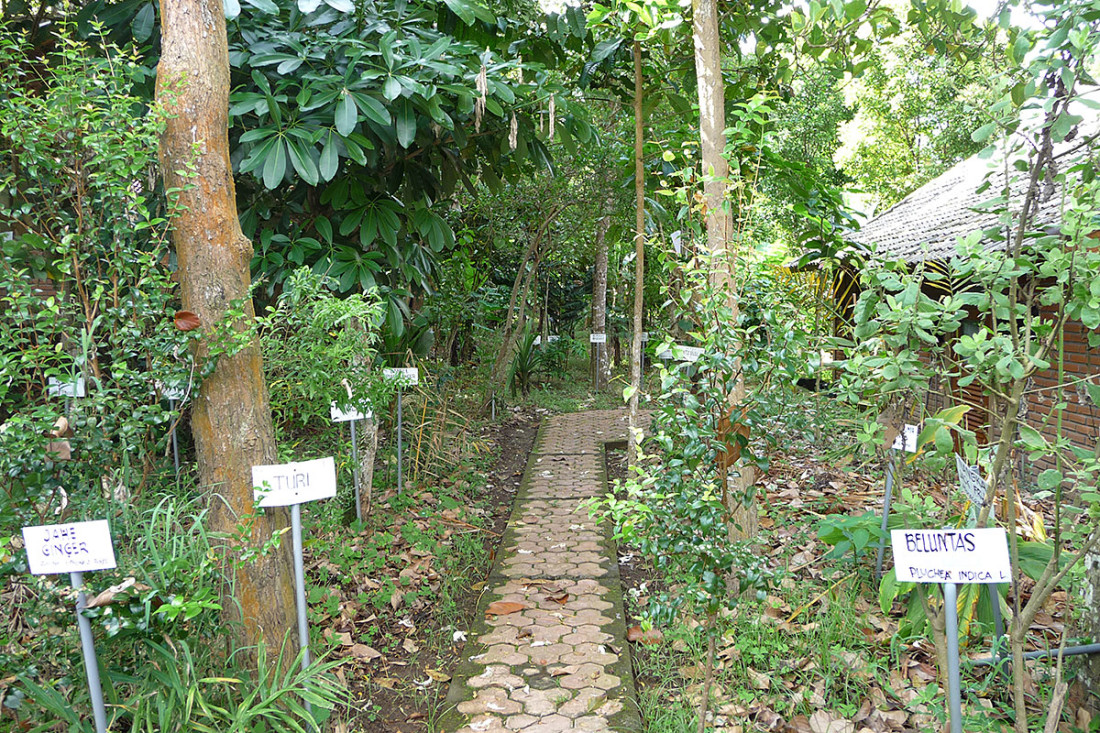 Herb garden